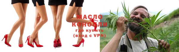 2c-b Ельня