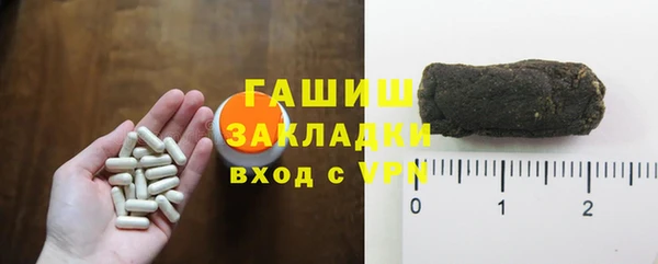2c-b Ельня