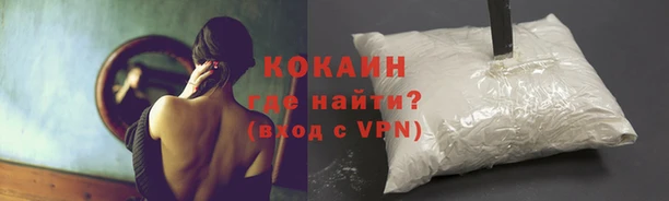 соль ск Елизово