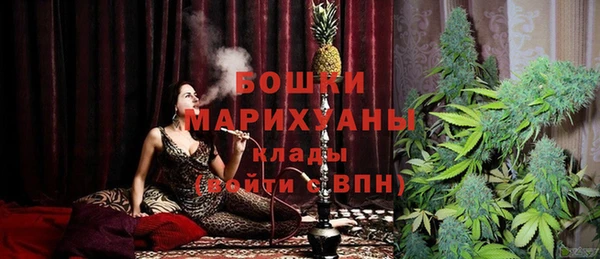 2c-b Ельня