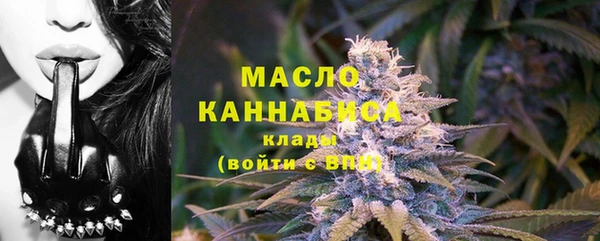 2c-b Ельня