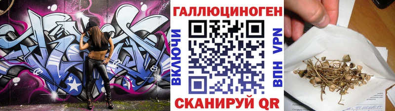 где купить наркоту  Шахты  omg маркетплейс  Псилоцибиновые грибы прущие грибы 